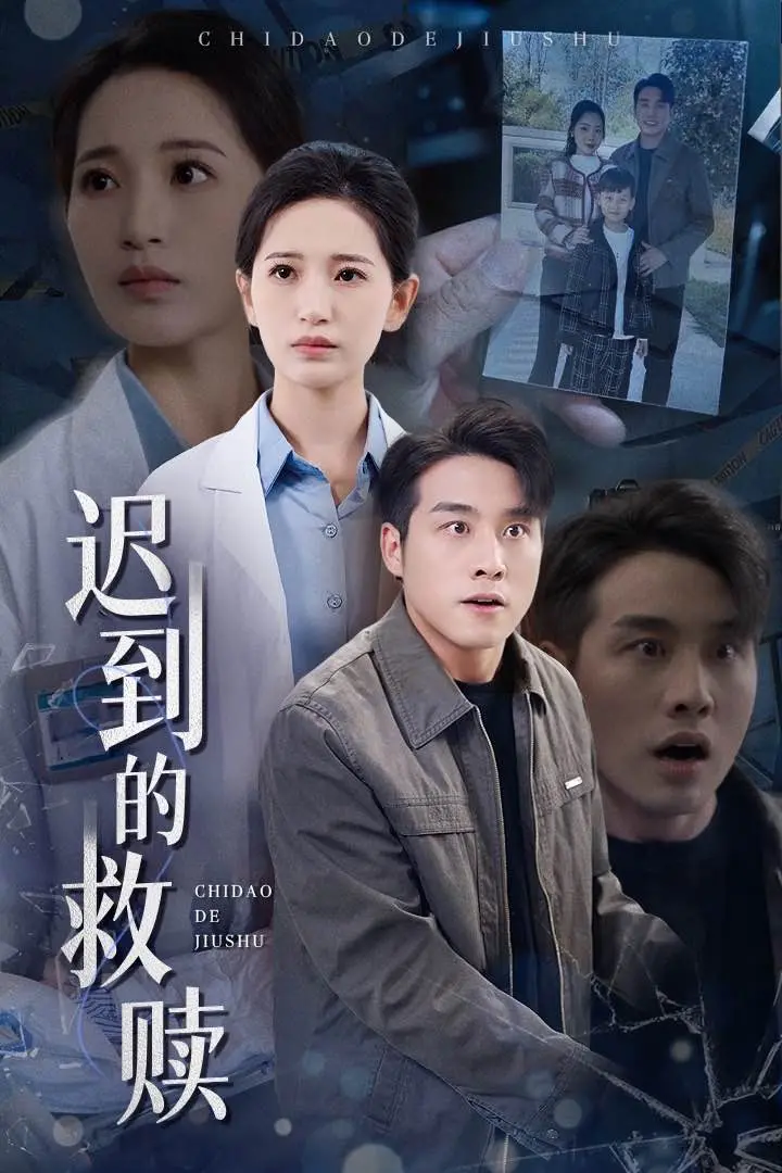 迟到的救赎 海报