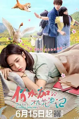 何加加的桃花源记：都市爱情喜剧，笑料百出的桃花运！