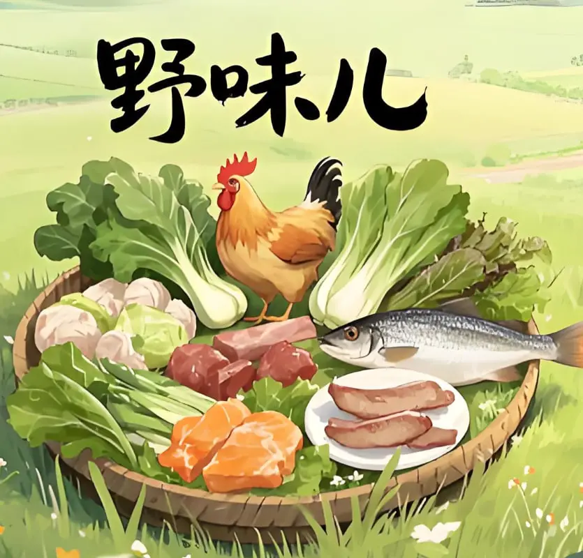 《野味儿》影评：欲望丛林的残酷童话，都市男女的迷失与救赎