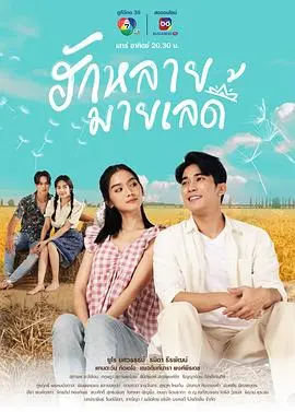 《亲爱的女士》：一场跨越阶级的爱恋，当凤凰爱上麻雀，故事才刚刚开始！